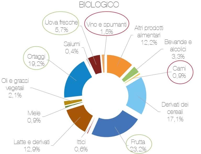 Visual Art Group - bio-alimenti-51